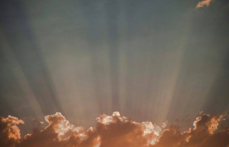 Royalty, Not “Royal Screw-ups” — Today Daily Devotional