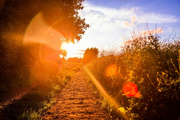 Seek Wisdom — Today Daily Devotional