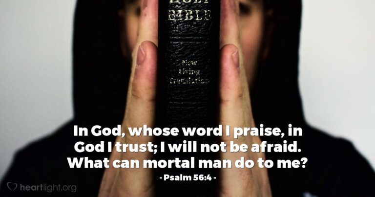 Today's Verse – Psalm 56:4 Today's Verse - Psalm 56:4