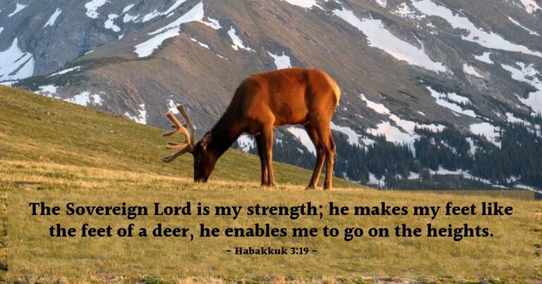 Habakkuk 3:19 — Today's Verse for Monday, June 8, 2026