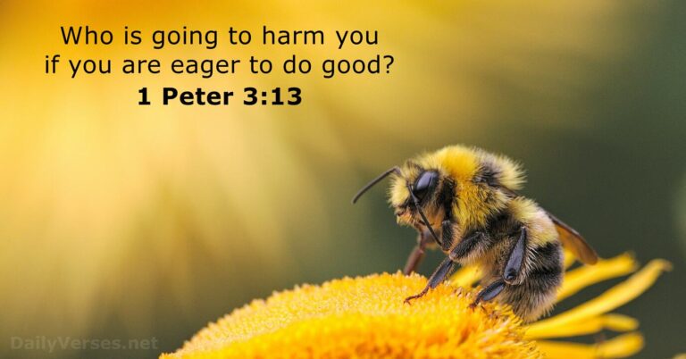 1 Peter 3:13