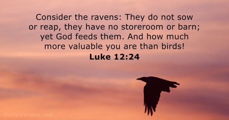 June 9, 2026 – Bible verse of the day Luke 12:24