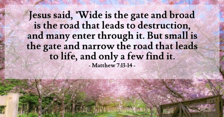 Matthew 7:13-14 — Today's Verse for Tuesday, June 9, 2026
