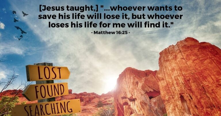 Today's Verse - Matthew 16:25