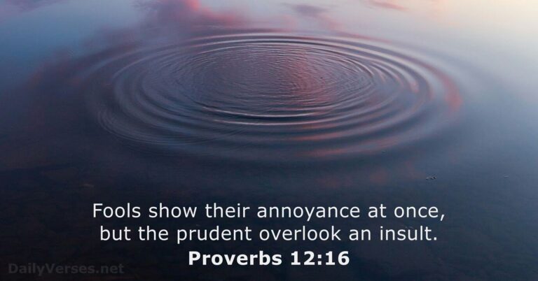 Proverbs 12:16