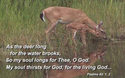 July 4th Chronological Bible Readings – Chronological Bible Blog deerwater.jpg
