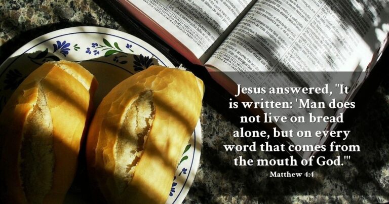Matthew 4:4 — Today's Verse for Sunday, July 12, 2026