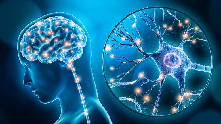 Neuroscience Confirms, Mental Health Healing Can Come Through Scripture: 'There's Tremendous Hope'