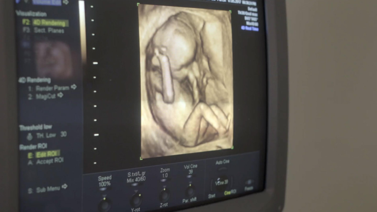 Pro-Life Pregnancy Centers Win Delaware Case as States Try to ‘Silence, Censor, and Shut Down’ Pro-Life Pregnancy Centers Win Delaware Case as States Try to 'Silence, Censor, and Shut Down'
