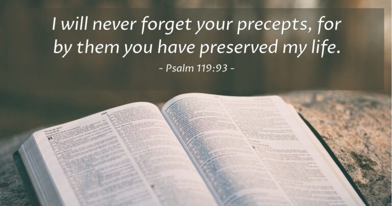 Psalm 119:93 — Today's Verse for Wednesday, July 29, 2026