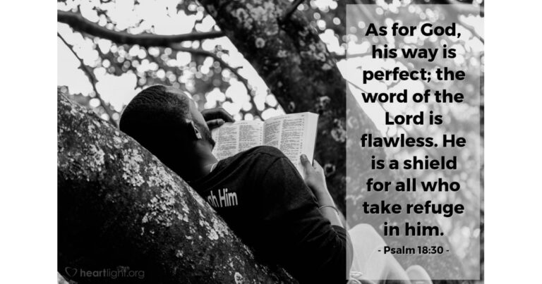 Today's Verse – Psalm 18:30 Today's Verse - Psalm 18:30