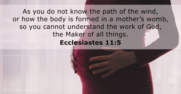 Ecclesiastes 11:5
