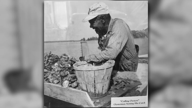 Excavating, Confronting Ancestral Shame of Black Exodus from Gwynn’s Island Excavating, Confronting Ancestral Shame of Black Exodus from Gwynn's Island