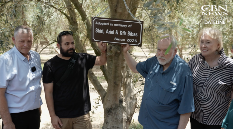 Huckabee Extends Olive Branch of Solidarity by Adopting Tree in Israel Huckabee Extends Olive Branch of Solidarity by Adopting Tree in Israel