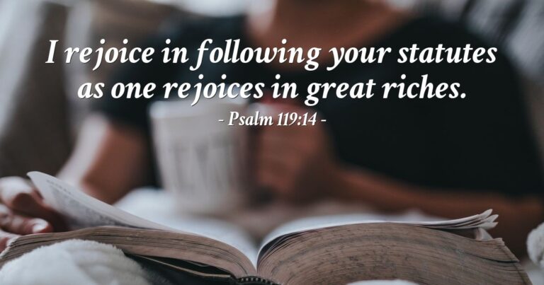 Psalm 119:14 — Today's Verse for Tuesday, August 11, 2026