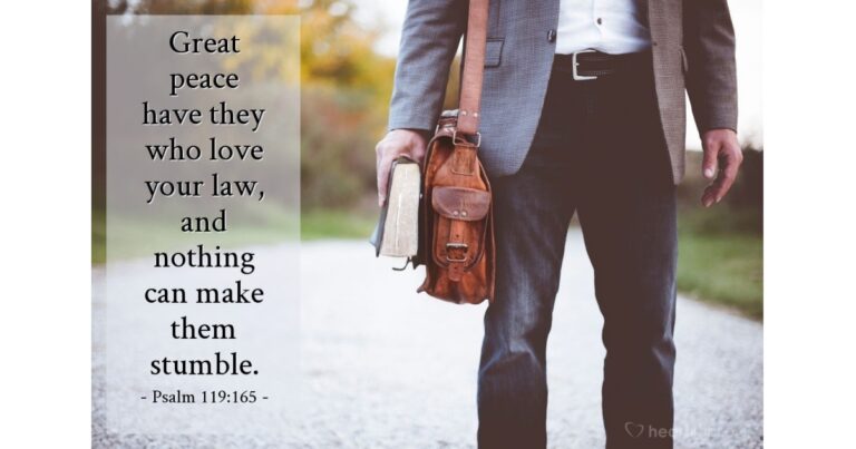 Psalm 119:165 — Today's Verse for Tuesday, August 25, 2026