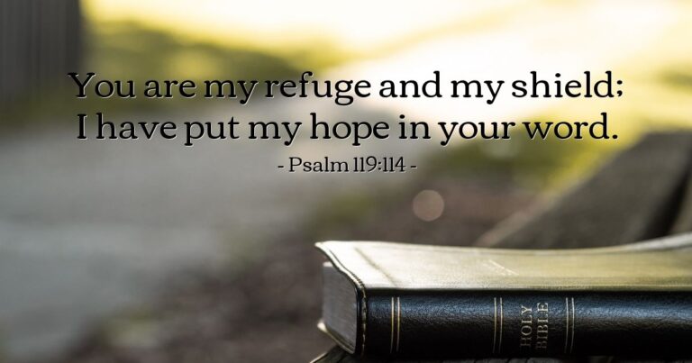 Today's Verse – Psalm 119:114 Today's Verse - Psalm 119:114