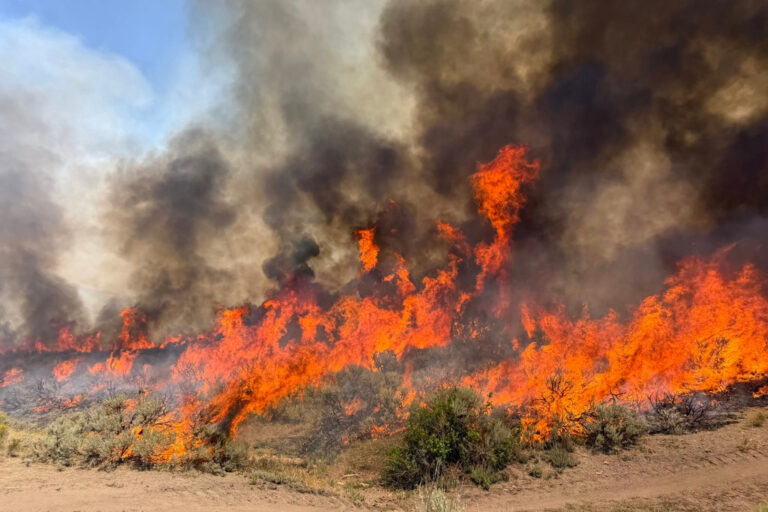 Wildfire Emergency Strikes with Nearly 100 Fires Out West, 3 Firefighters Dead