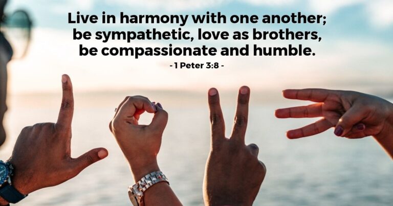 1 Peter 3:8 — Today's Verse for Sunday, September 13, 2026