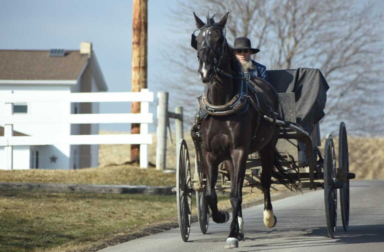 Amish Man Reportedly Jailed Over Electronic Permit, County Accused of Criminalizing 'Being Amish'