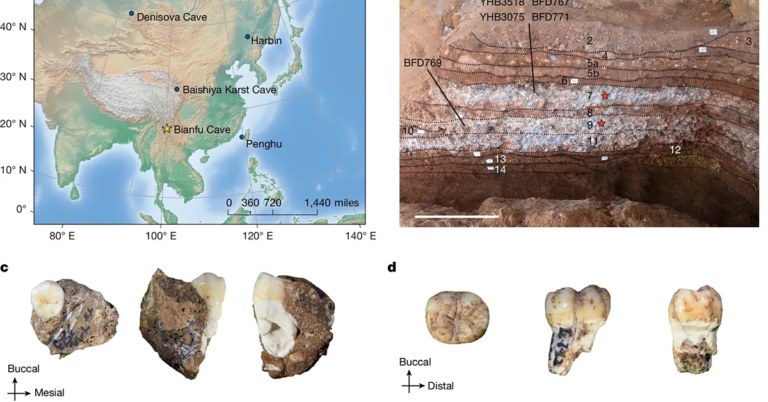 Did Ancient Humans Do Nothing for 100,000 Years?
