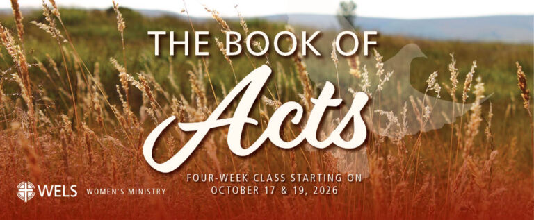 New Online Bible Study – The Book of Acts – WELS