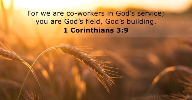 1 Corinthians 3:9